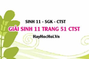 Giải Sinh 11 trang 51 Chân trời sáng tạo SGK